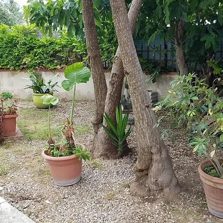 Holiday home La Finestra Sul Mare - *